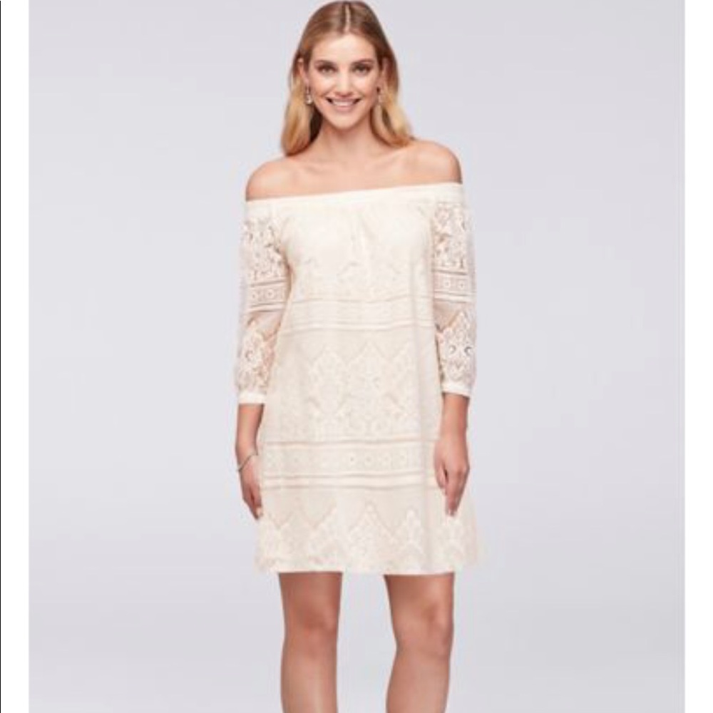 Off the shoulder lace dress from David’s bridal